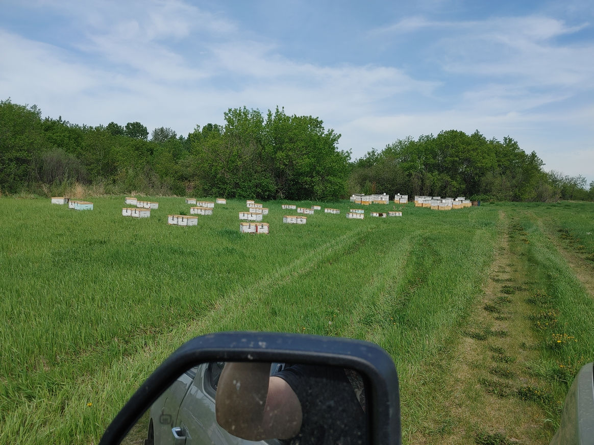 2021 Season photo 12